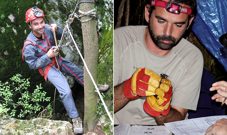 Expert chiroptérologue Biotope en plein action