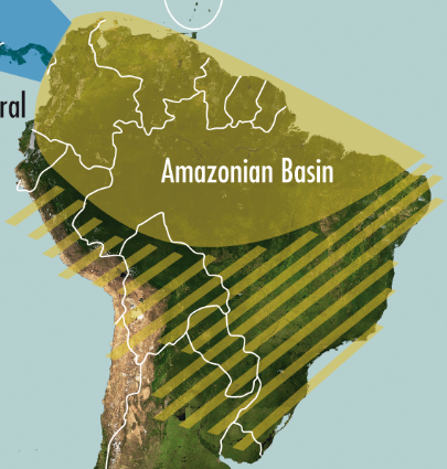 Carto AMB