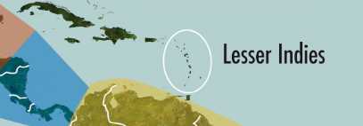 Carto LIN