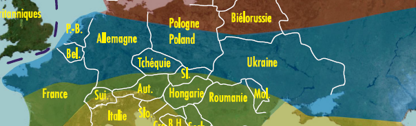 Carto NT