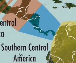 Carto SCA